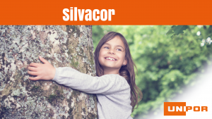 Unipor - Silvacor